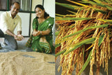 Oryza sativa Boka | Magic Rice of Assam | Kumol Saul | Boka Saul | 20_Seeds
