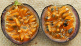 Passiflora biflora | Passionvine | 10_Seeds