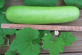 Lagenaria siceraria | Birdhouse Gourd | Calabash Corsican | Tasmania | 10_Seeds