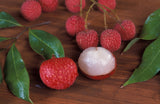 Litchi chinensis | Chinese Lychee | Lumquat | 5_Seeds