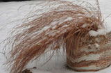 Schizachyrium scoparium | Little Bluestem | Bunchgrass | 1000_Seeds