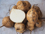 Pachyrhizus erosus | Jicama | Mexican Yam & Potato & Turnip | Yambean | 20_Seeds