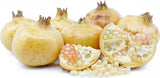 Punica granatum White Pomegranate | 20_Seeds