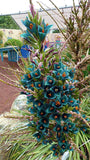 Puya alpestris | Sapphire Tower | Bromeliad | 20_Seeds