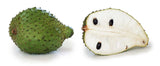 Annona muricata | Soursop | Dutch Durian | Guanabana  | 5_Seeds