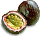 Passiflora edulis Toms special | 20_Seeds