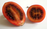Cyphomandra betacea |  Tamarillo | Tree Tomato| 20_seeds