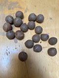 Jubaea chilensis | Chile Cocopalm | Chilean Wine Palm | 5_Seeds