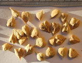 Boswellia serrata | Indian Frankincense | Salai Guggal | 10_Seeds