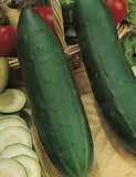Cucumis sativus Long Green | Garden Cucumber | Gherkin | 10_Seeds