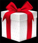 $100 Gift Certificate