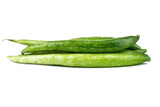 Trichosanthes cucumerina Anguina | Short Snake Gourd | 5_Seeds